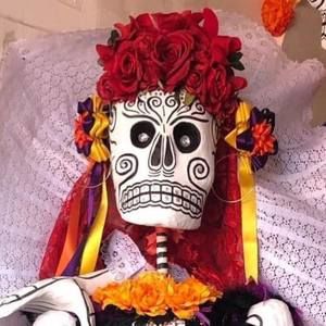 Meet your Posher, Roberta